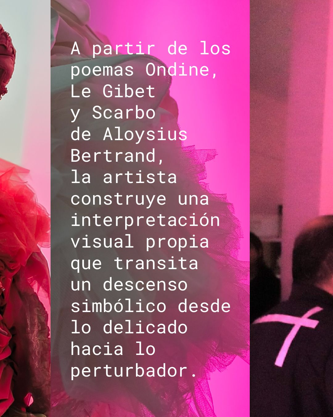 SCARBO: materia, imagen y sonido en diálogo interactivo